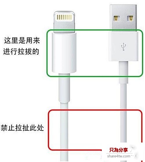 如何保養iPhone數據線?五招延長iPhone數據線壽命